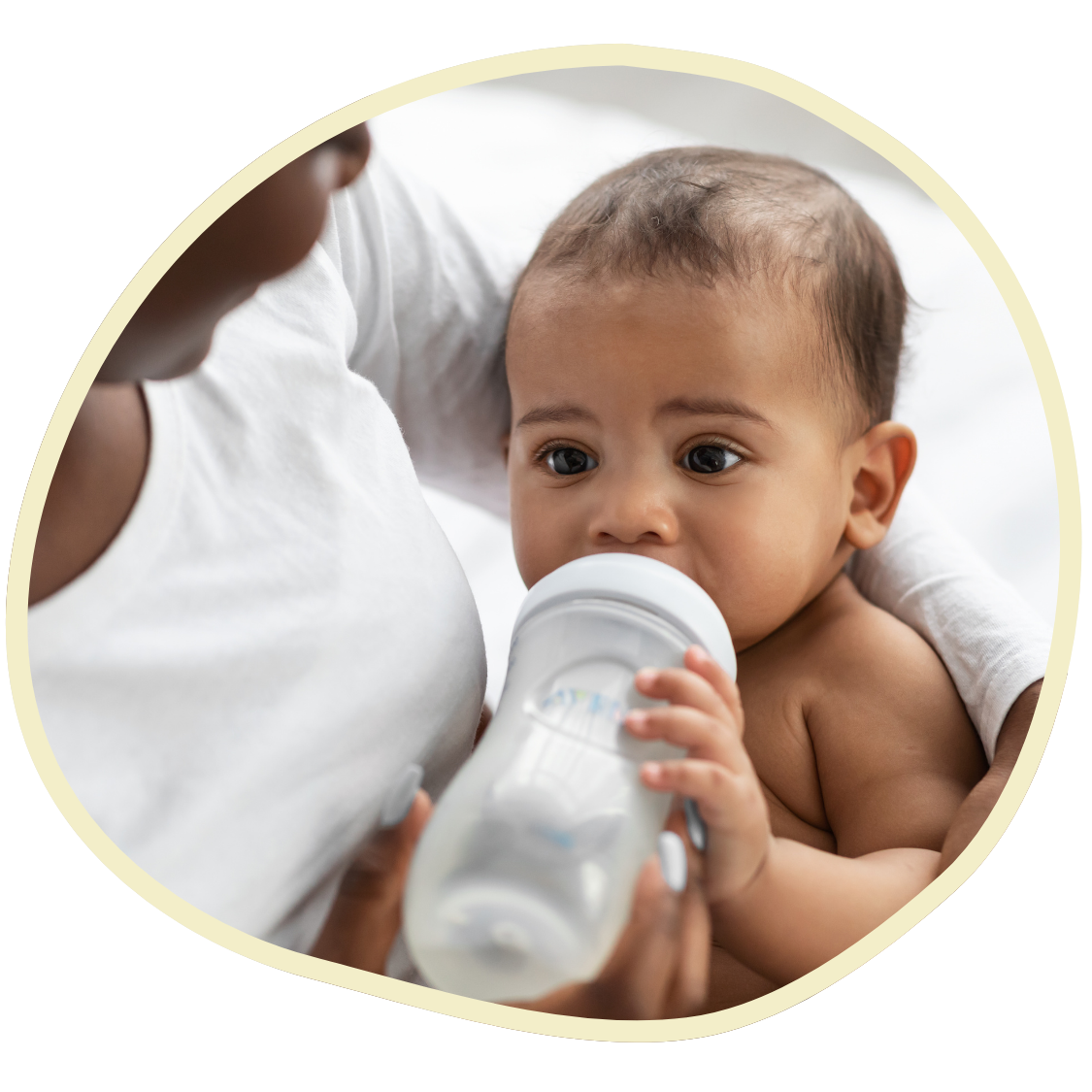 Get In Touch Get In Touch